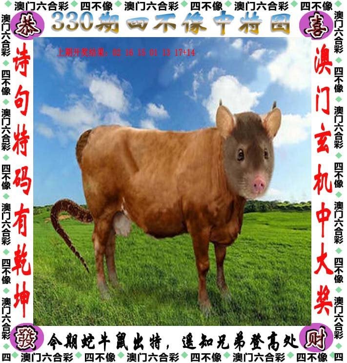 管家婆一肖2024年展望-第1张图片