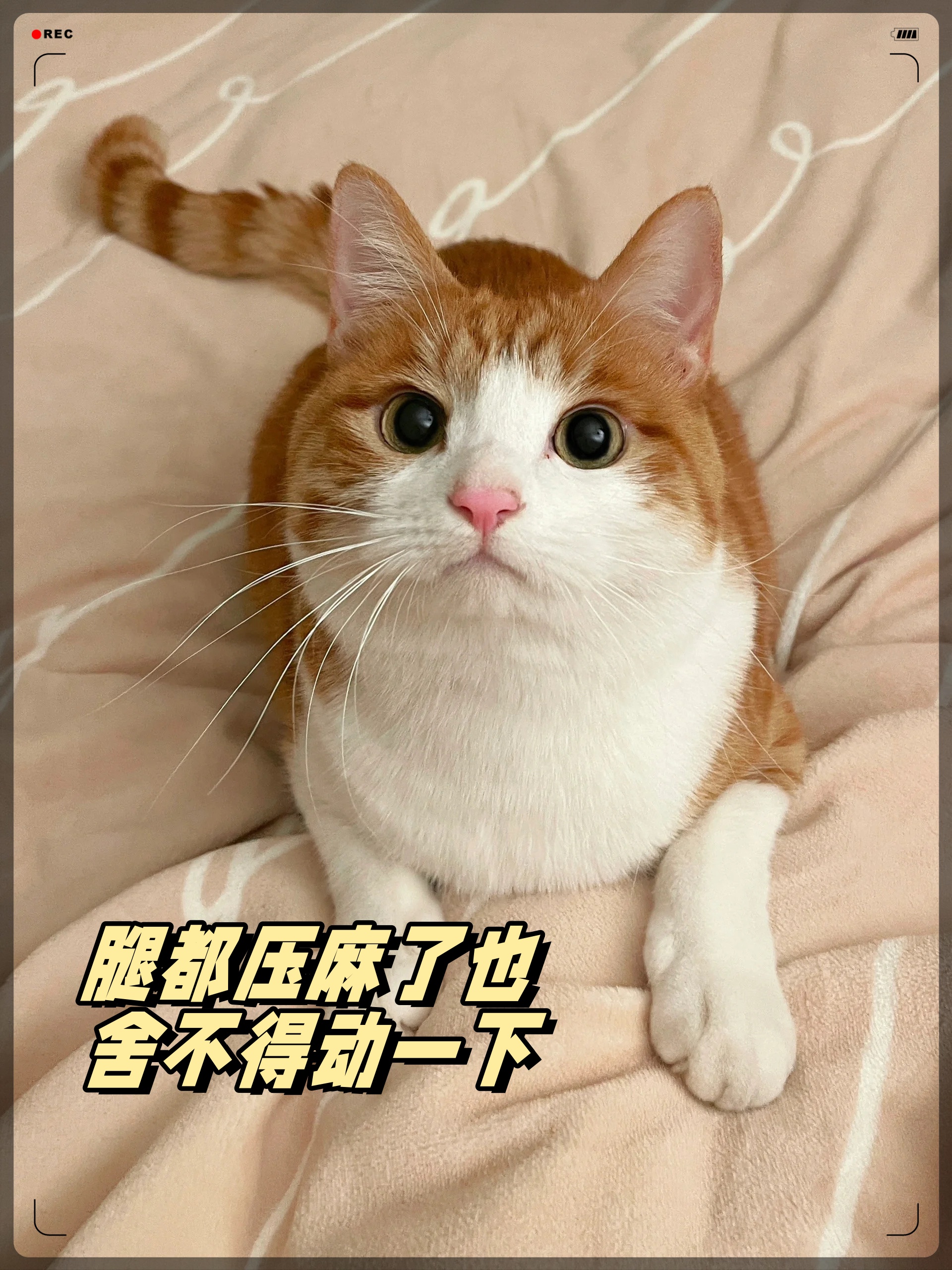 与儿子睡觉一下子项进去了与儿子睡觉瞬间陷入温馨