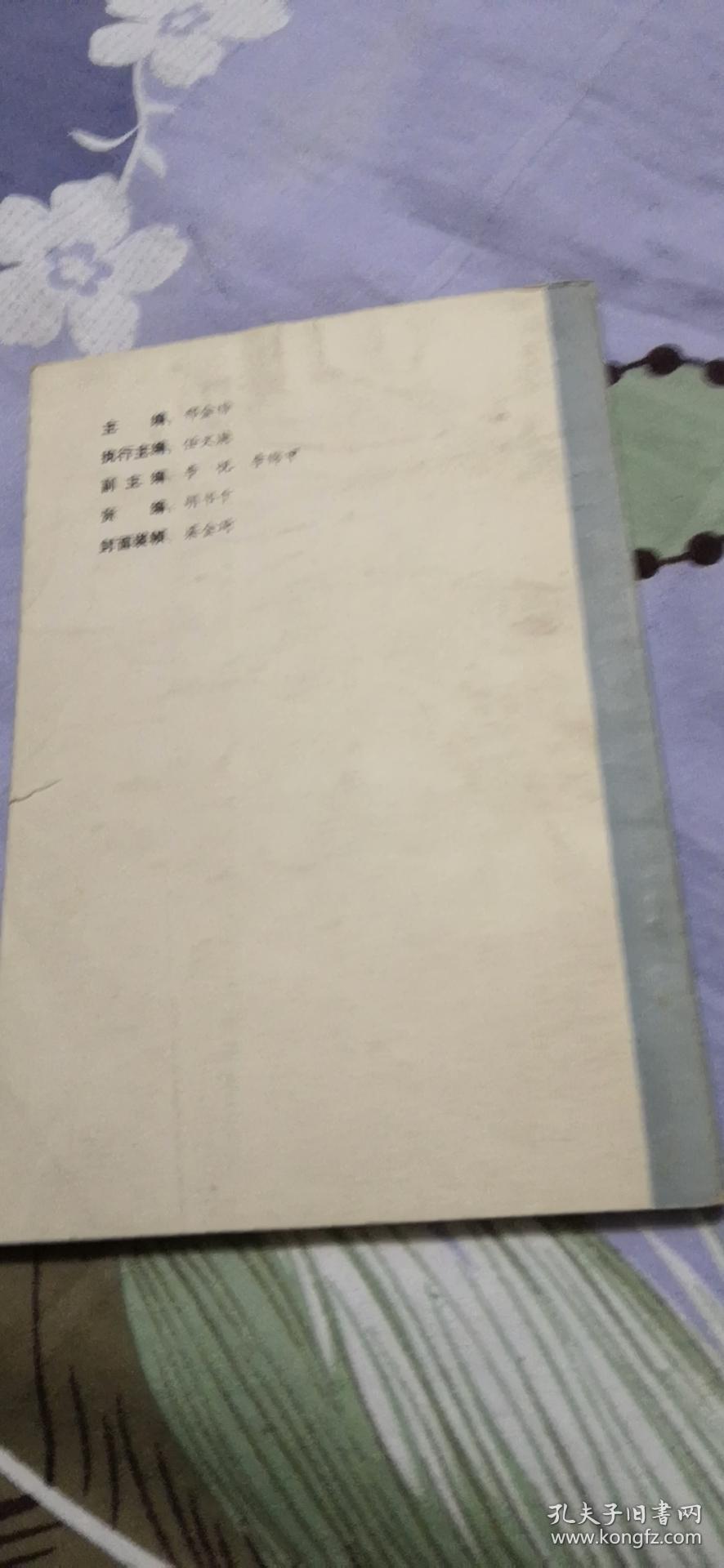 东鳞西爪的意思东鳞西爪，品味生活中的独特瞬间-第1张图片
