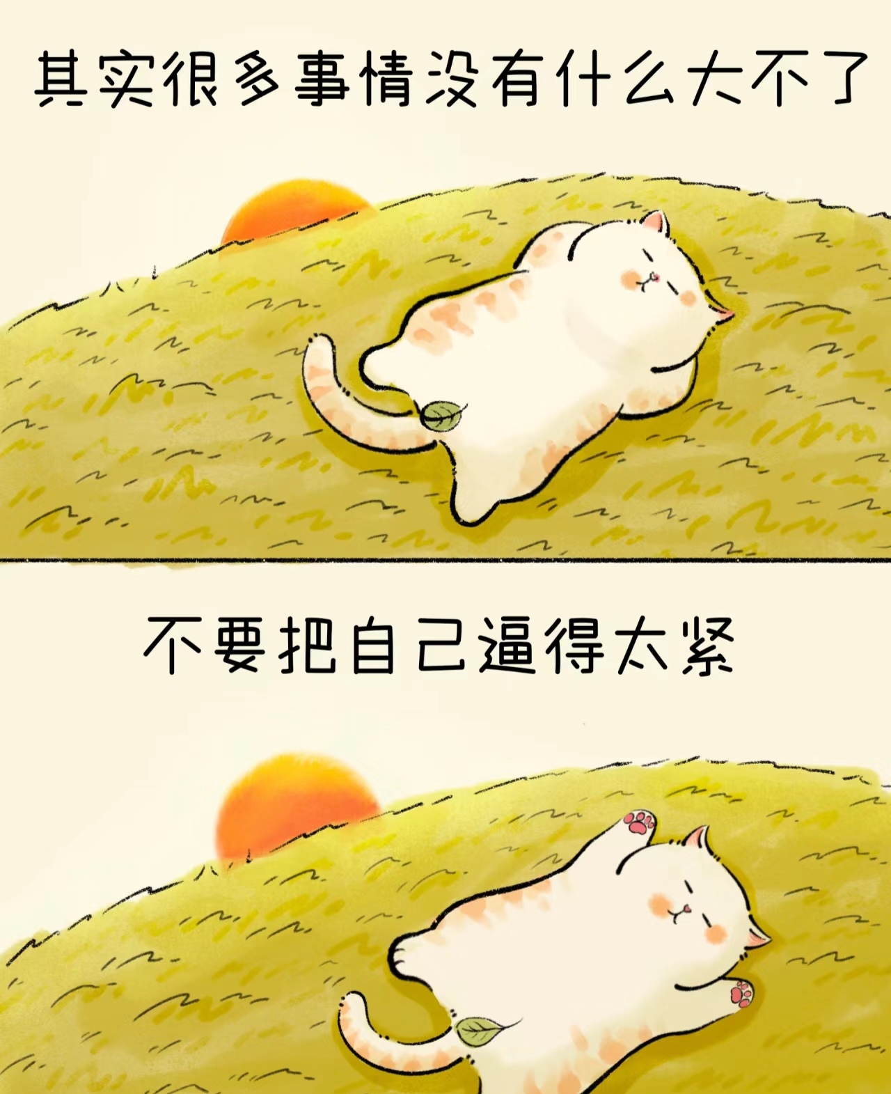 看逼逼看逼逼，生活中的趣味与挑战-第2张图片