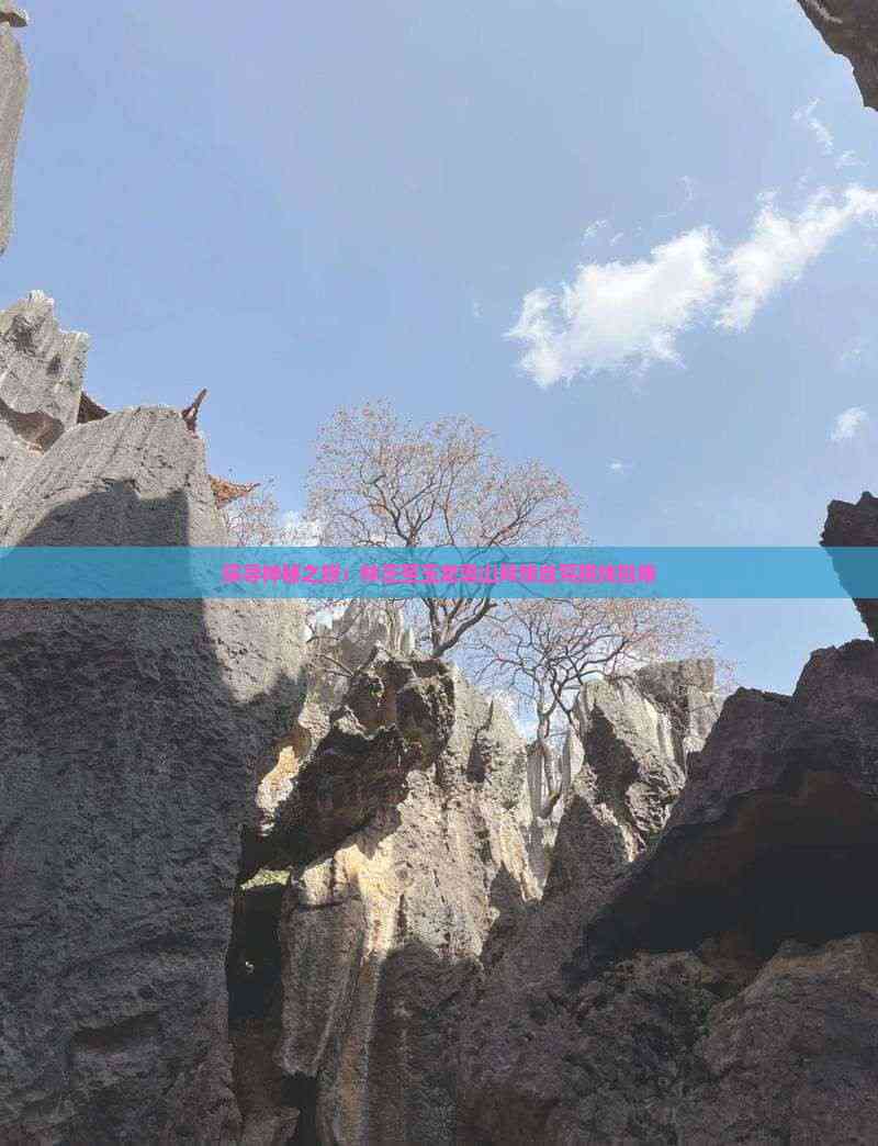 成都至云南旅游团，探索神秘之旅
