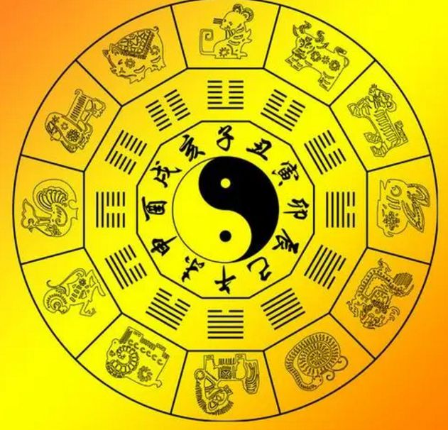 三肖期期准必开生肖三肖期期淮，预测与策略
