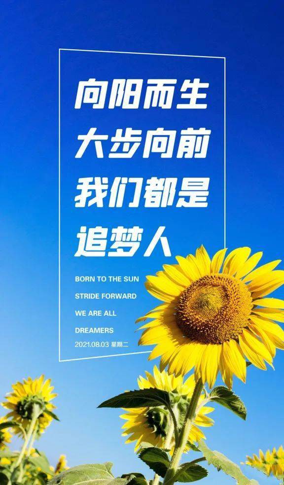 福利8，正能量入口揭秘