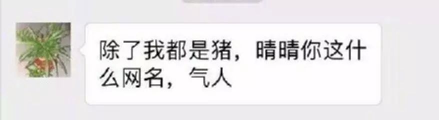 妈妈的朋友——木瓜的温馨故事-第1张图片