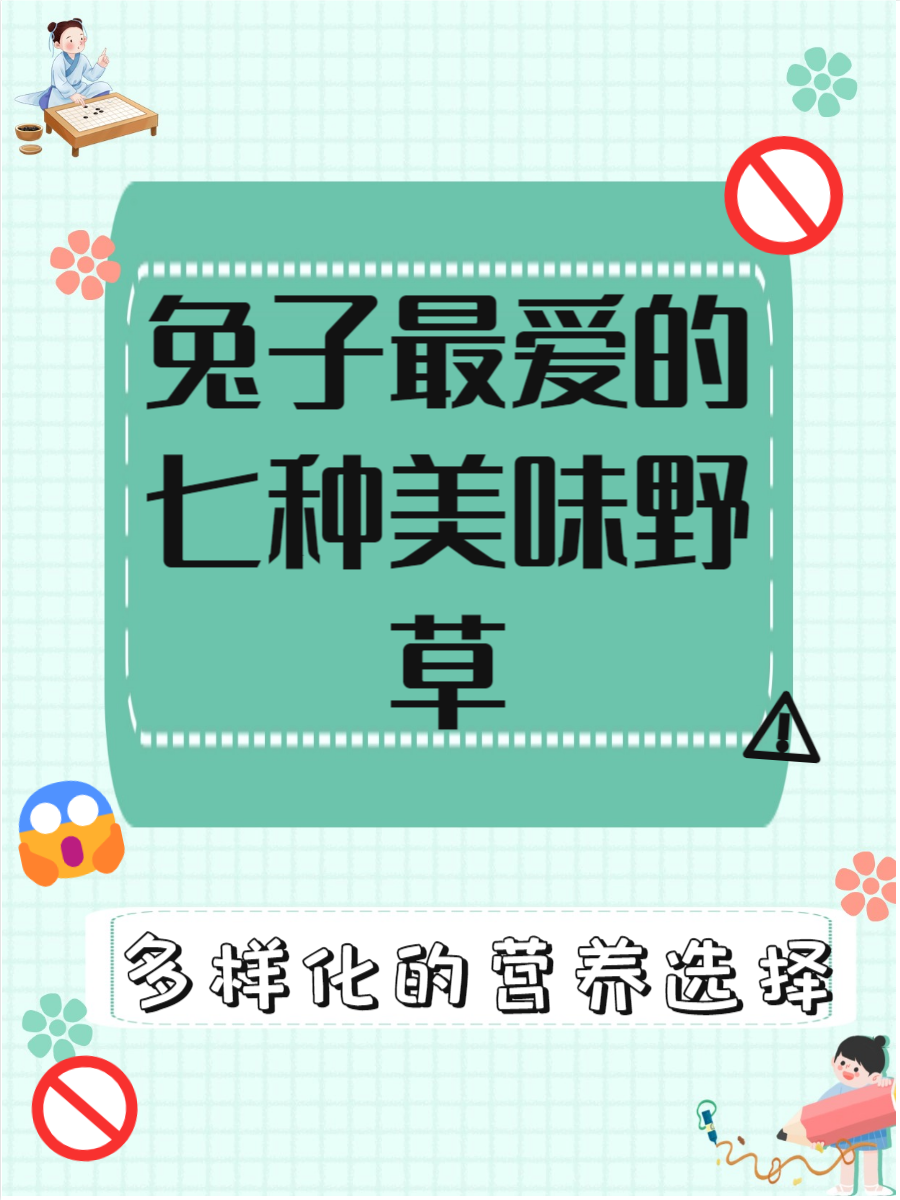 老师你的兔子好软水好多车视频老师，你的兔子好软-第3张图片