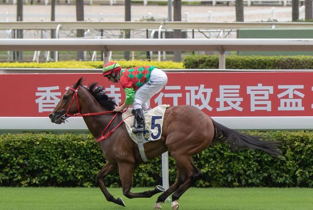 香港马 会开奖结果新闻香港马会开码结果直播与开奖结果揭晓-第1张图片