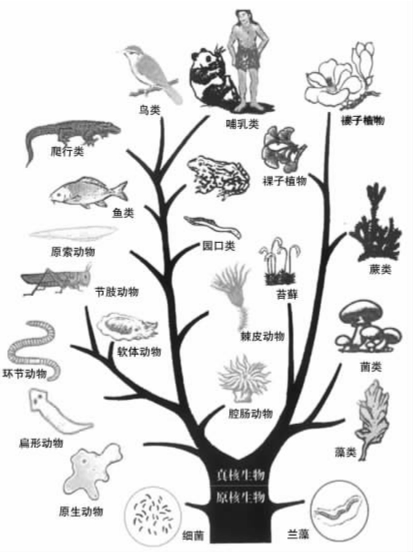进化evolve网页进化与演进的探索-第1张图片
