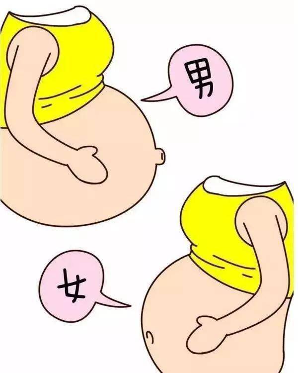 1女多男女多男的世界，多元与挑战