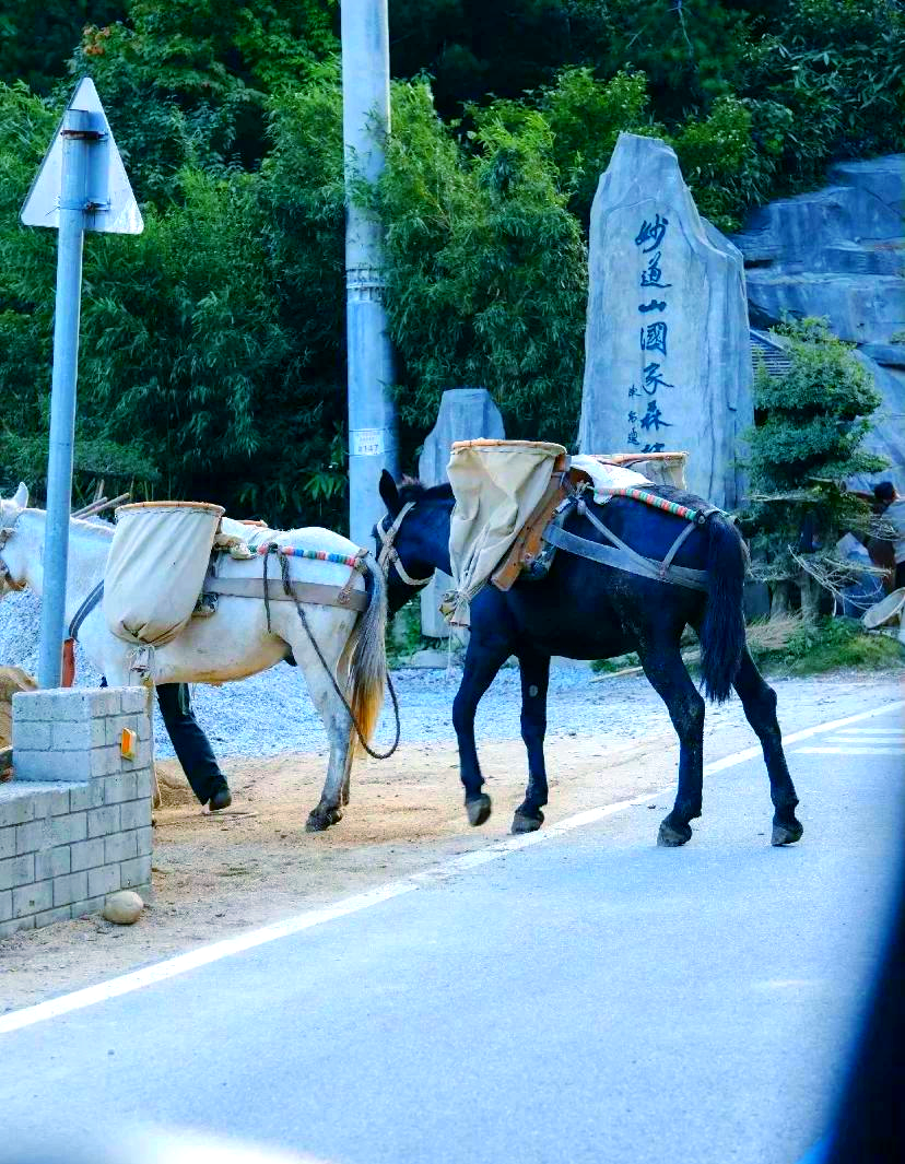 蝴蝶梦仙阁，梦幻之旅的仙境
