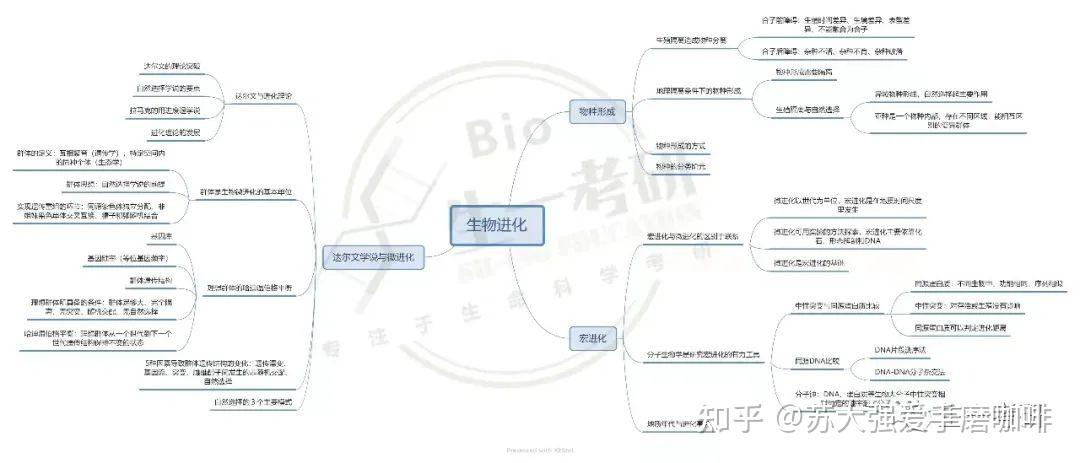 进化evolve进化与演进的探索