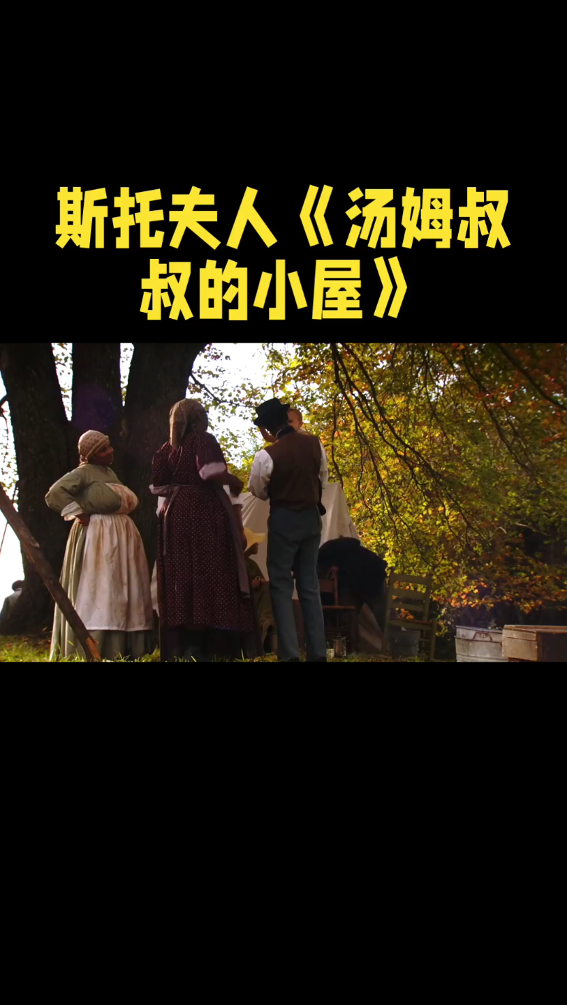 汤姆叔叔永久转入接口