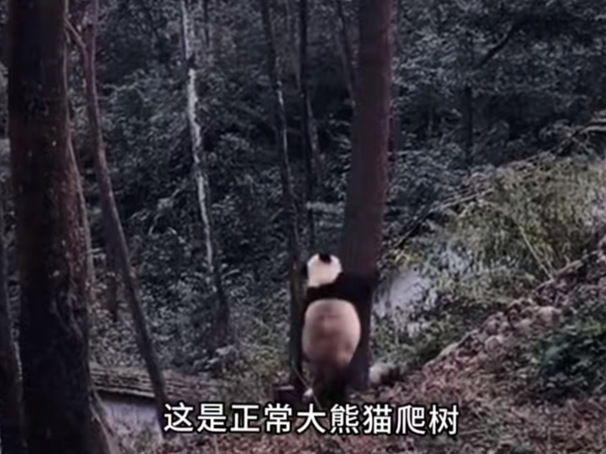 感受到它在里面动了吗