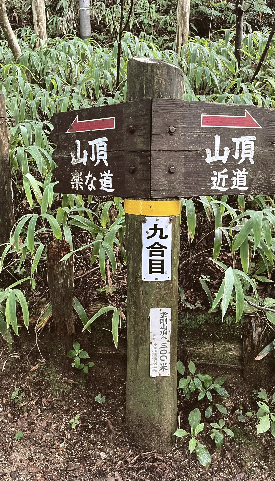金刚山之旅