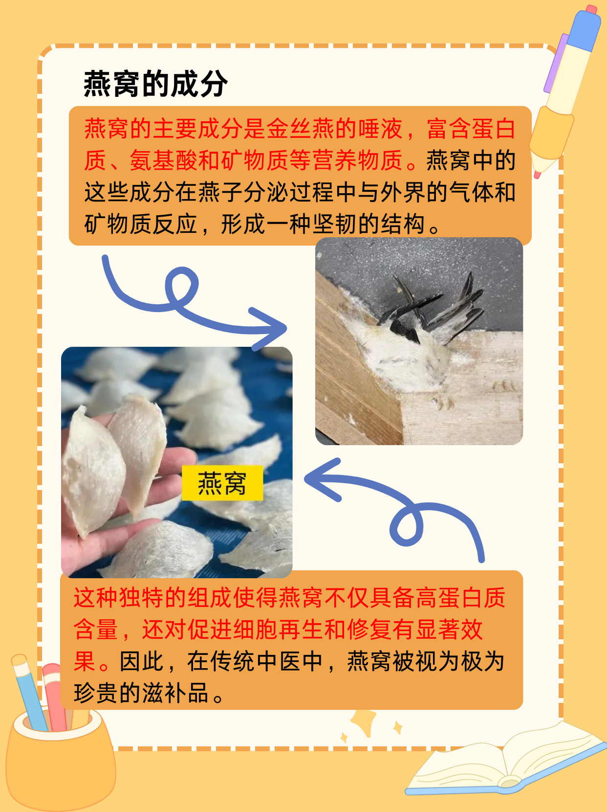 金丝燕初次做的窝我们把它叫做金丝燕初次做的窝，自然的奇迹-第2张图片
