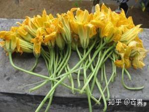 两根茎同时进入爽体验-第1张图片