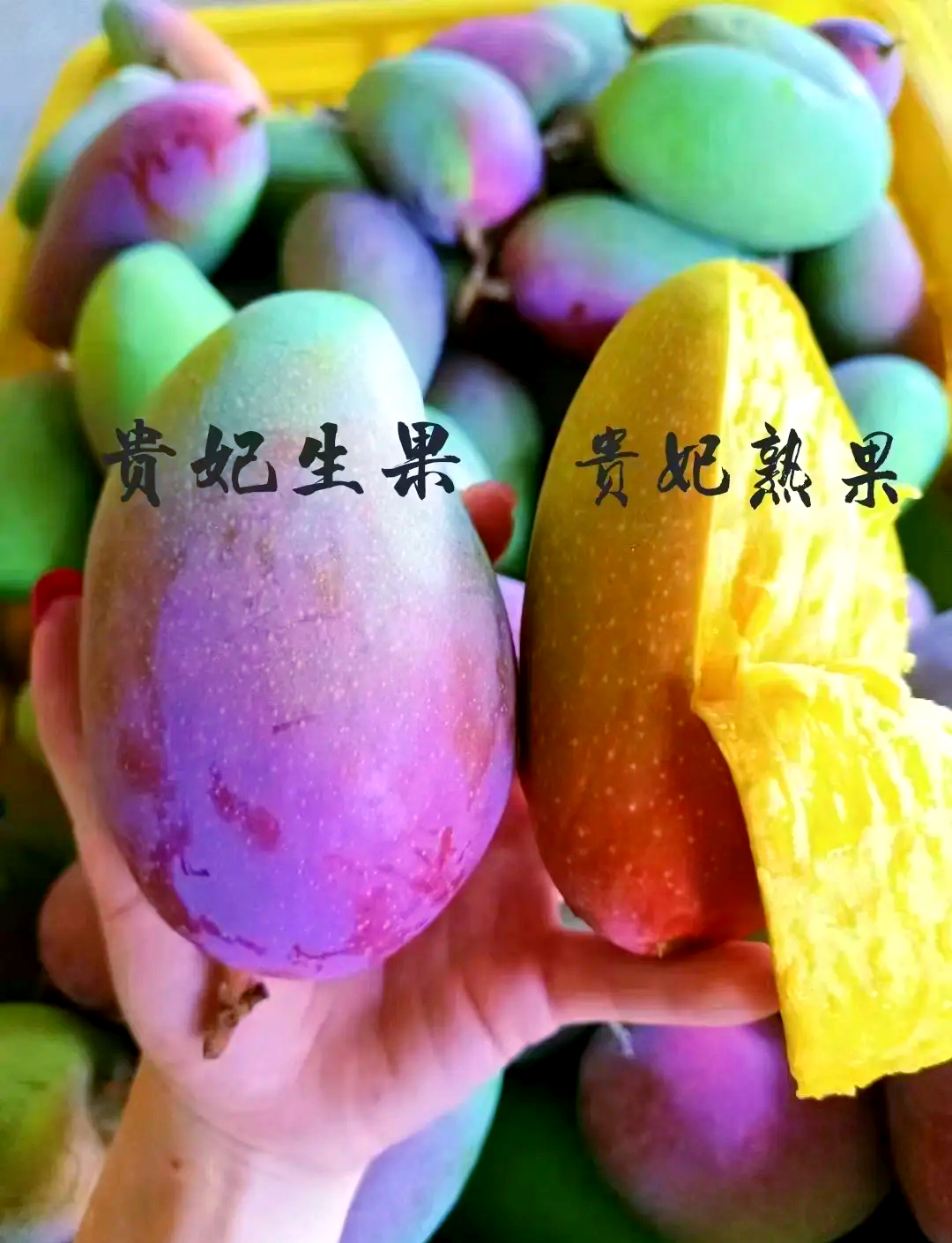 国产三区芒果国产四线区芒果，品质与特色的完美结合-第1张图片