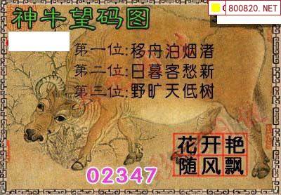 彩吧网彩吧网，探索数字娱乐新世界-第2张图片
