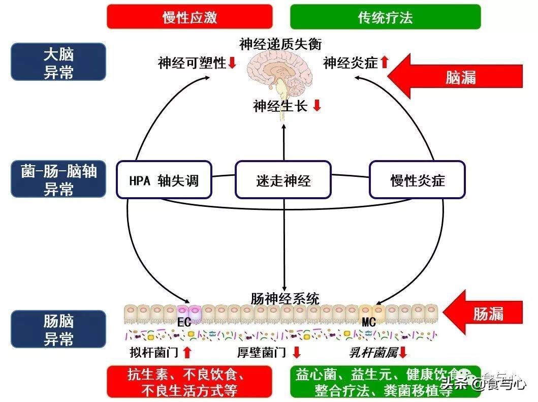 欧美肠交，探索背后的文化与心理-第1张图片