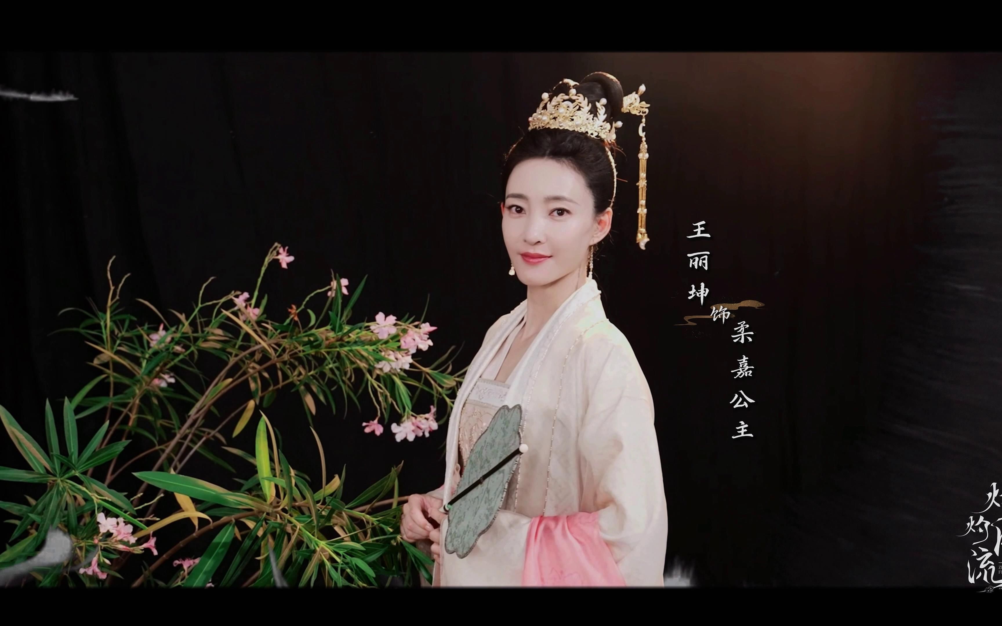 双面公主vs双面王子双面公主与双面王子-第1张图片
