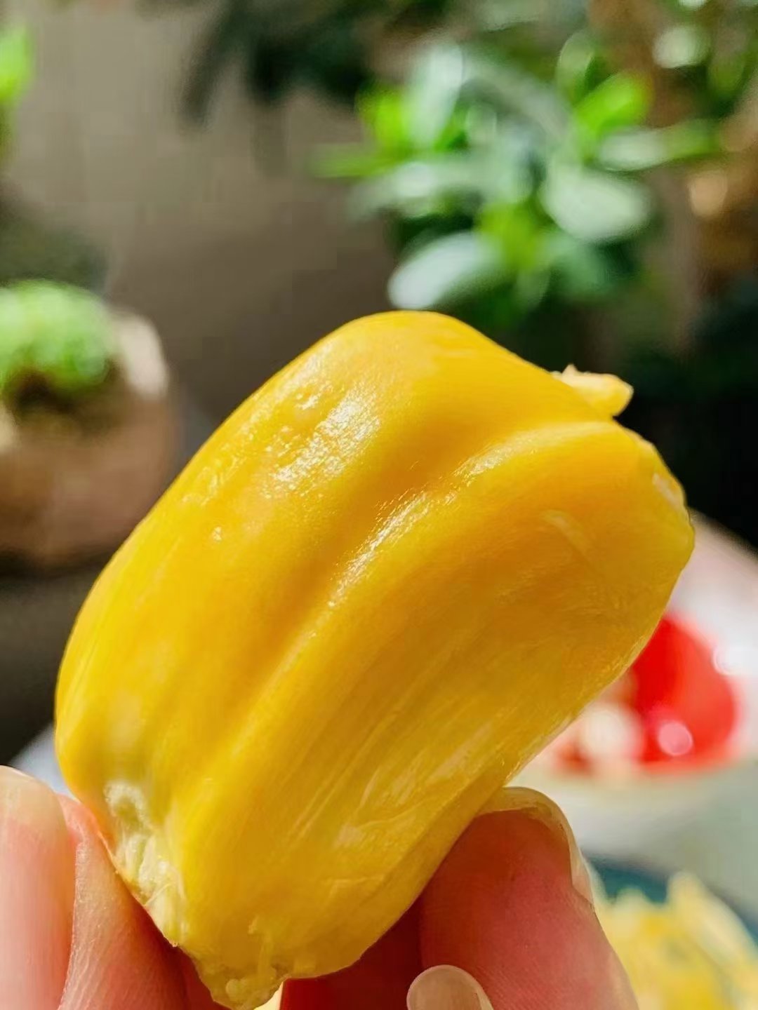 菠萝菠萝蜜手机观看2菠萝菠萝蜜手机在线观看