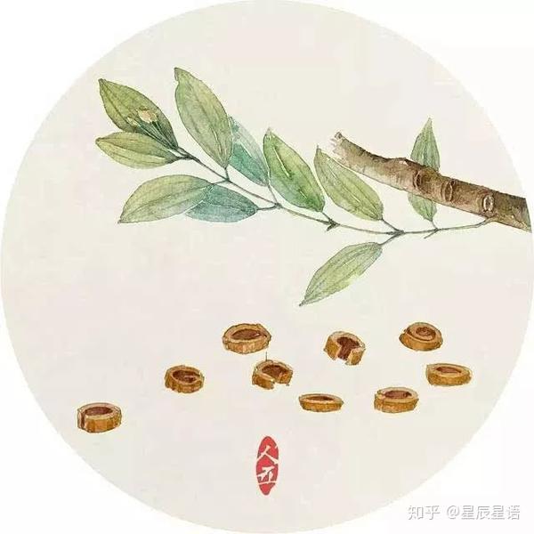 如何打女孩子光阴小说如何把握光阴，避免与女孩子发生冲突-第1张图片