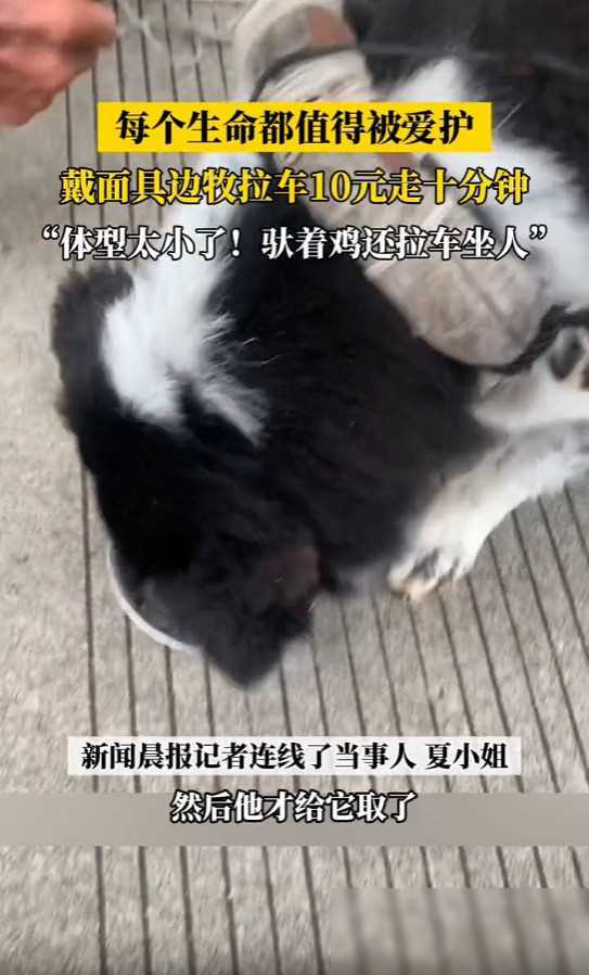 绑架用胶带绑住手脚封住嘴巴测试绑架用胶带绑住手脚封住嘴巴的真相-第2张图片