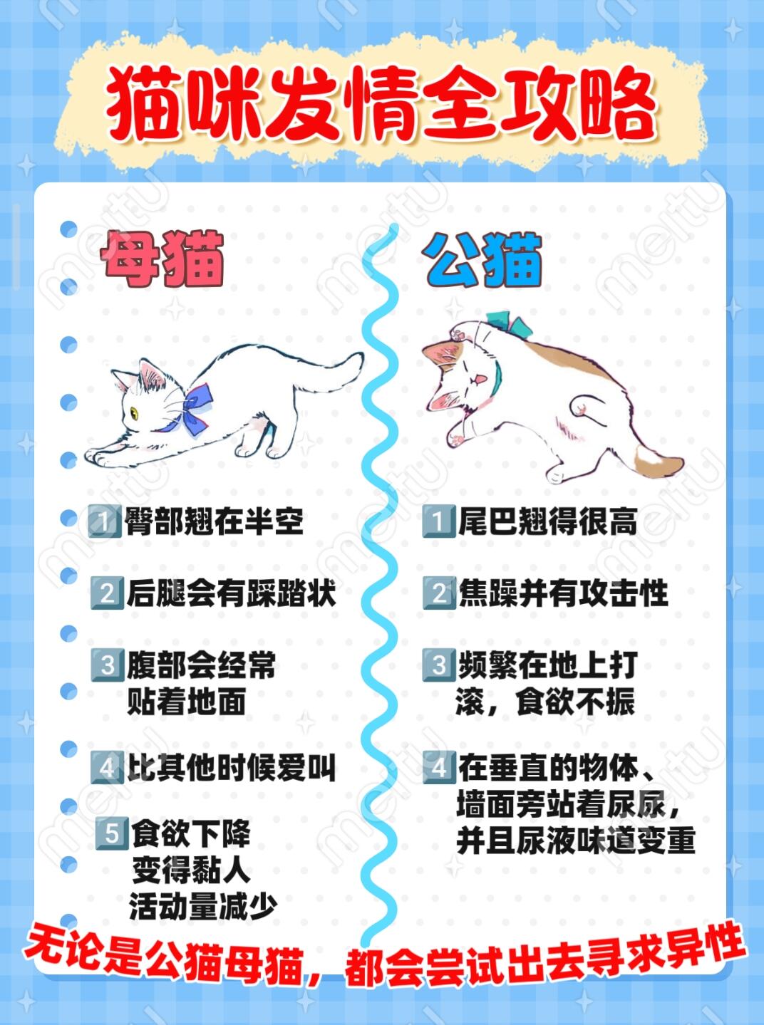 信口雌黄最佳答案是什么动物信口雌黄，蚂蚁庄园的趣味探讨-第1张图片