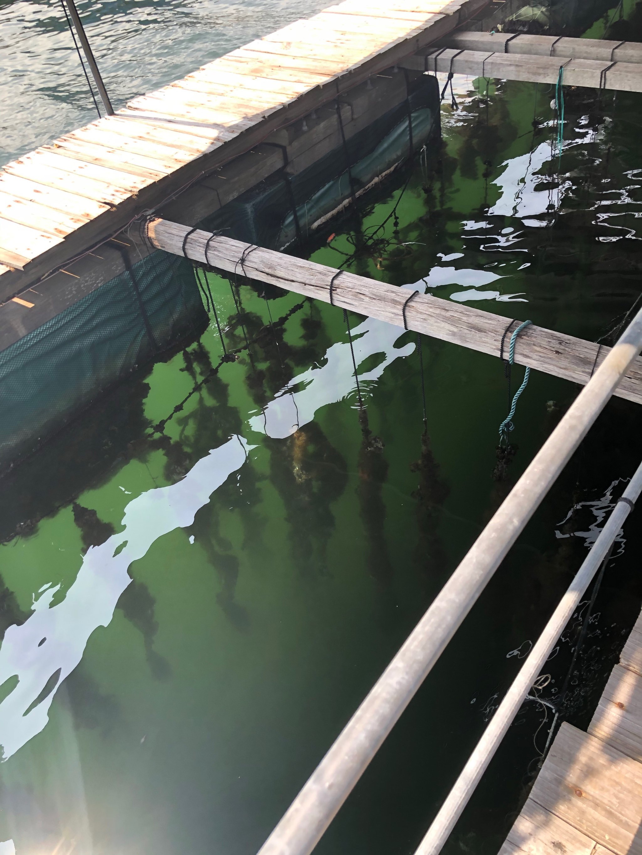 开船荷尔蒙爆发原声视频开船荷尔蒙爆发原声视频-第1张图片