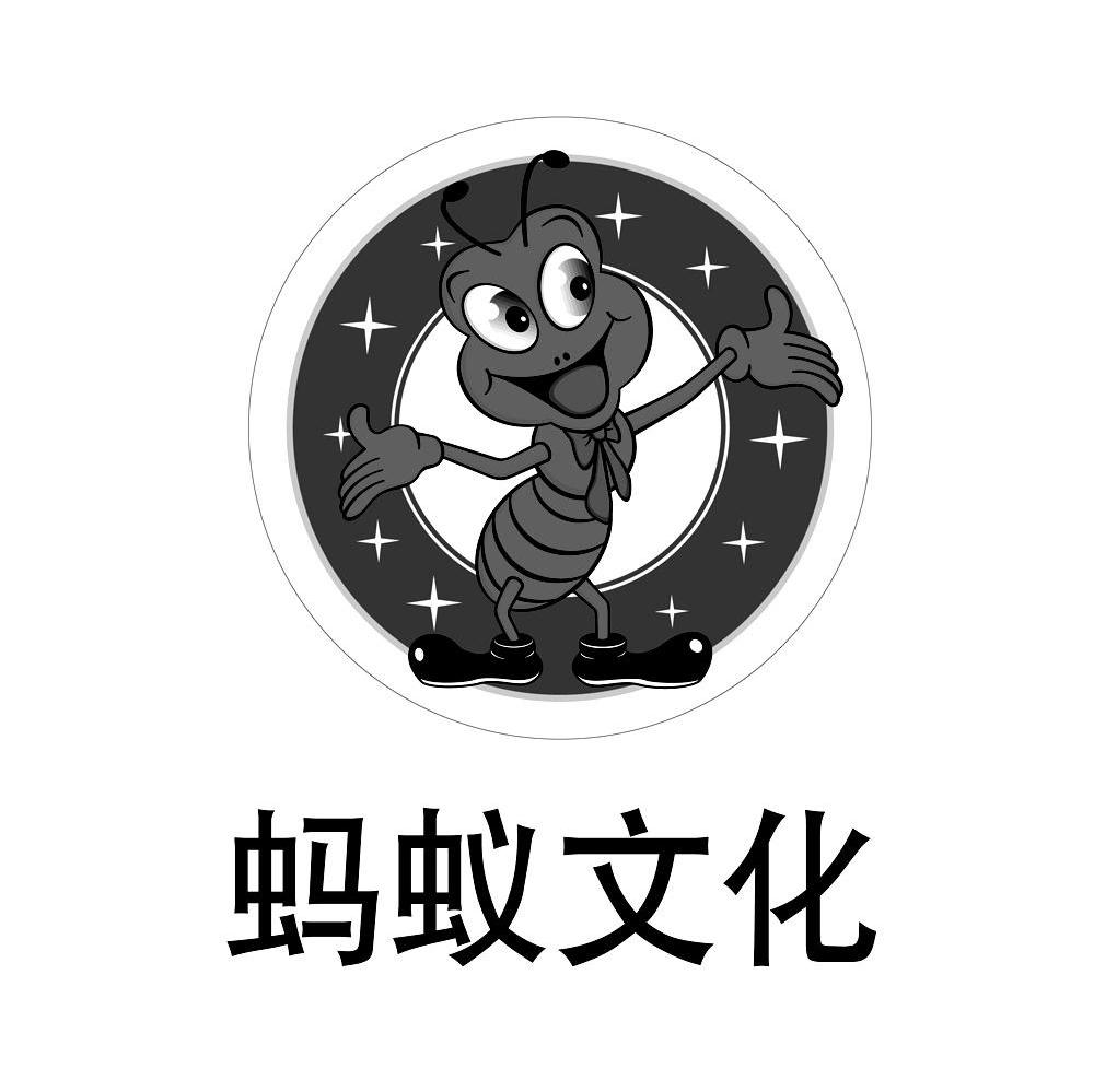 BT蚂蚁天堂，探索数字时代的神秘乐园