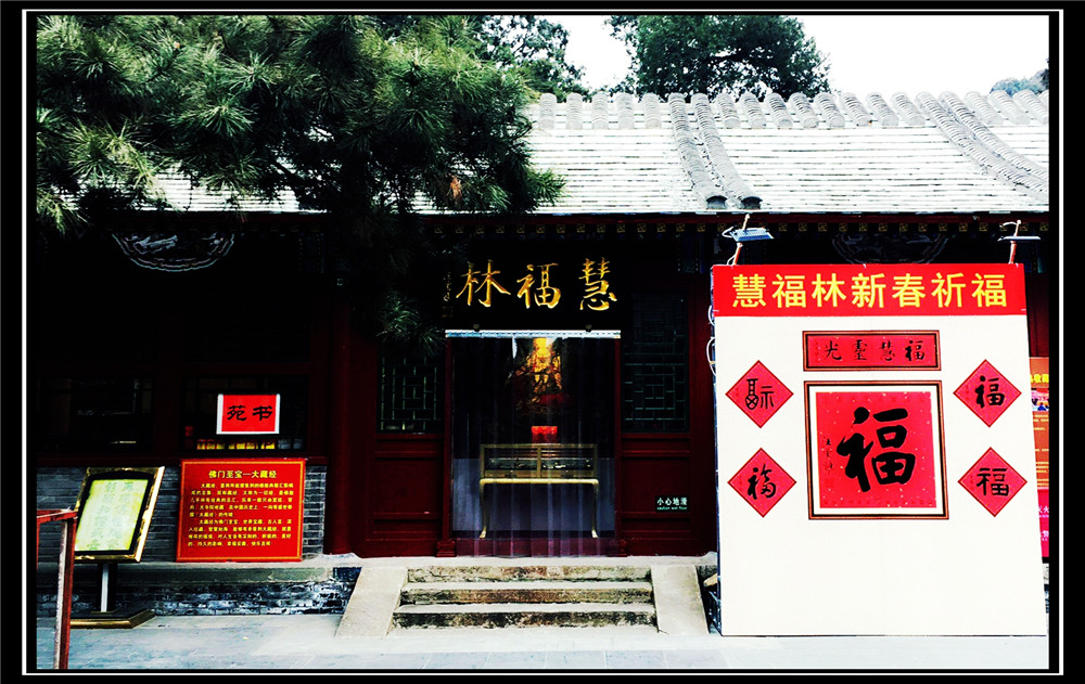 福林的初试云雨情后传福林的初试云雨情后传-第1张图片