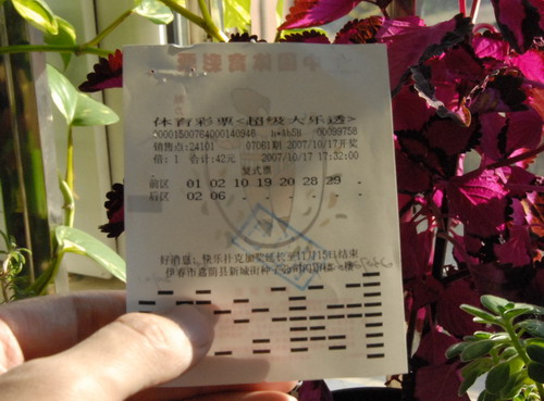 黑龙江体彩11选5，彩票背后的故事与乐趣