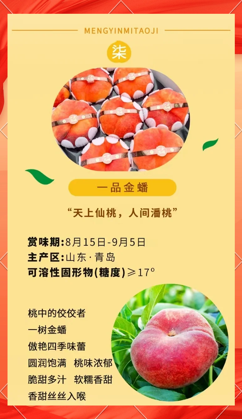 黄桃AV无码免费一区二区三区体验分享