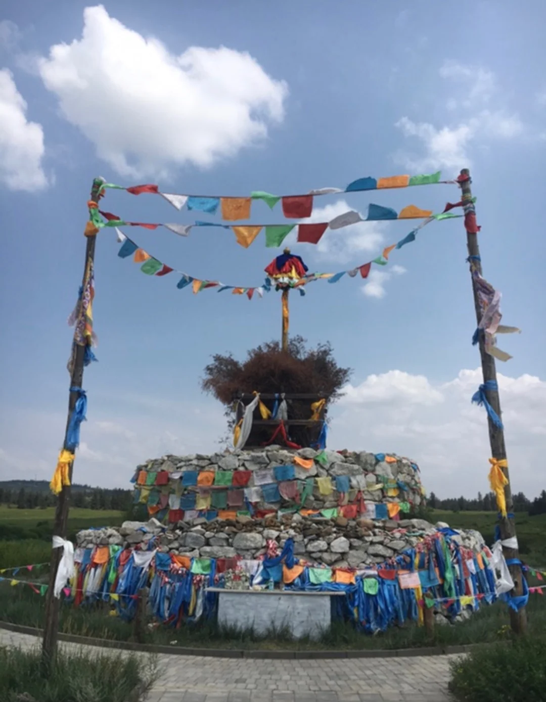 仙踪林COM，探索神秘之旅的起点-第1张图片