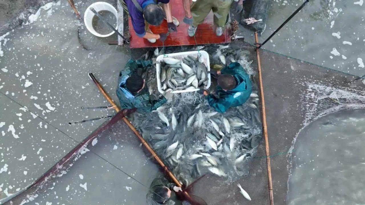 小鱼儿心水论免费开奖结果小鱼儿心水论坛，探索网络世界的乐园-第3张图片