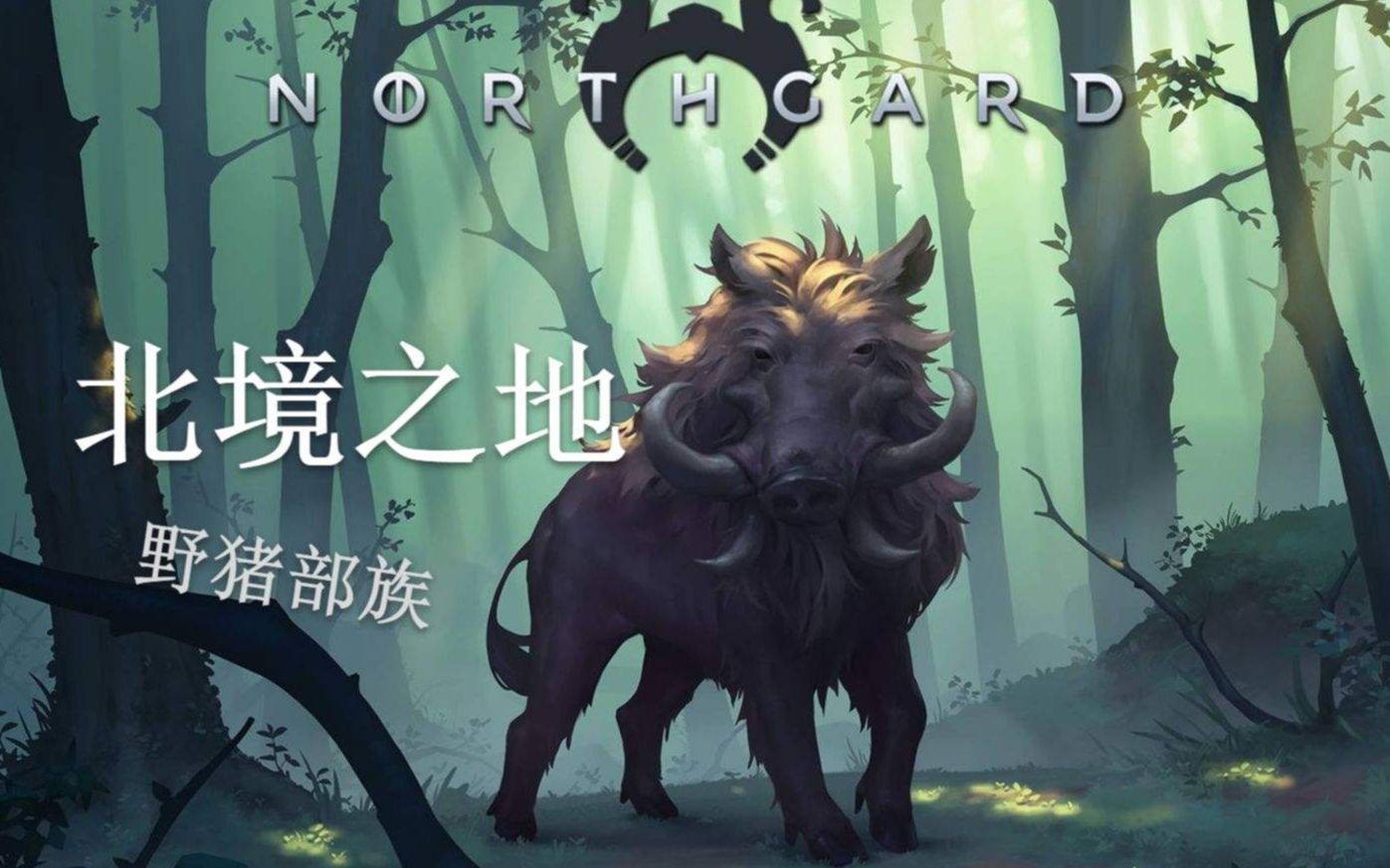dnf野猪攻略DNF野猪攻略，轻松征服野猪王国-第3张图片