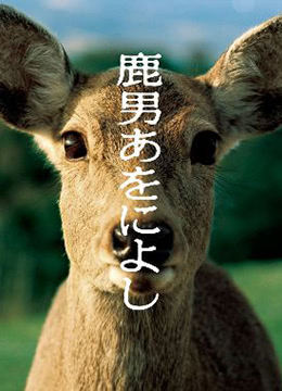 天狼影院手机版在线观看体验