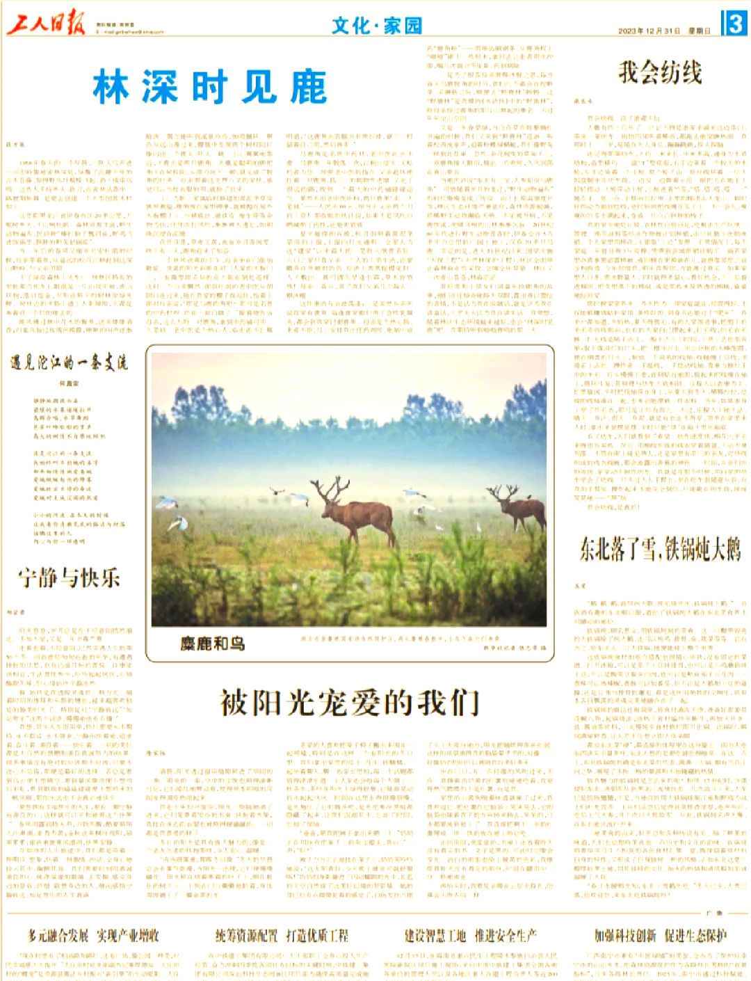 甘肃工人日报电子版官网甘肃工人日报电子版，新闻传播的新篇章-第1张图片