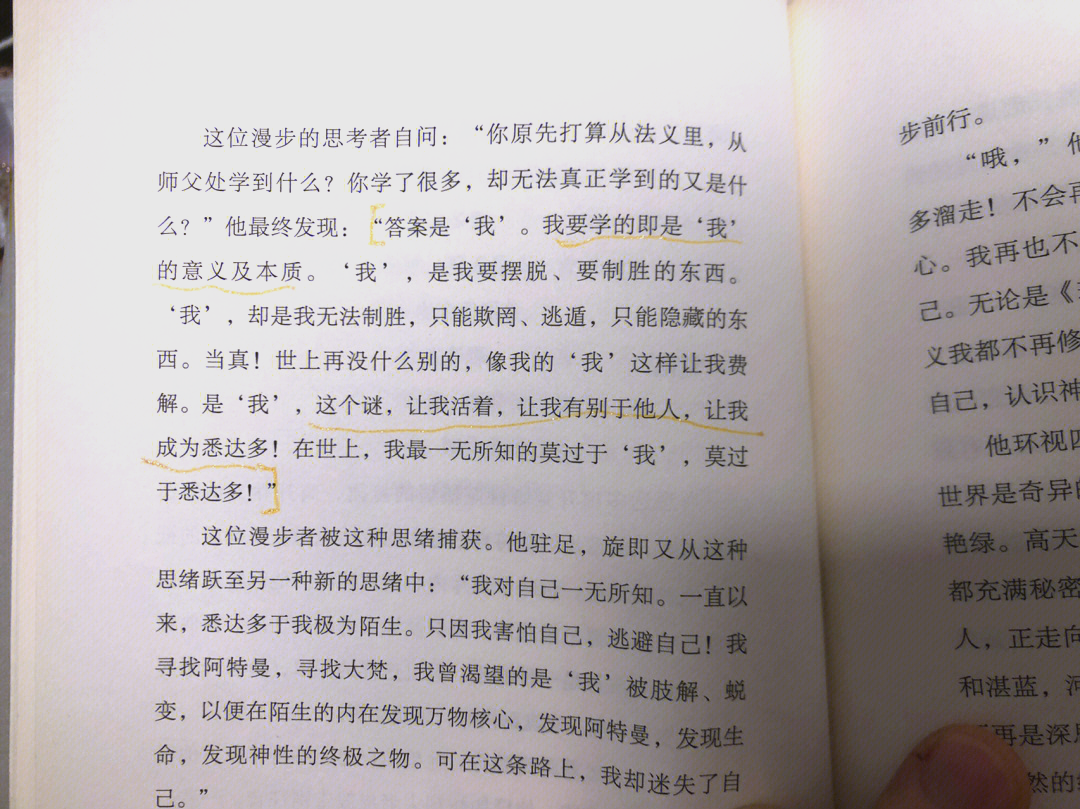 一个人色导航一个人色导航，探索自我与情感的智慧之旅-第1张图片