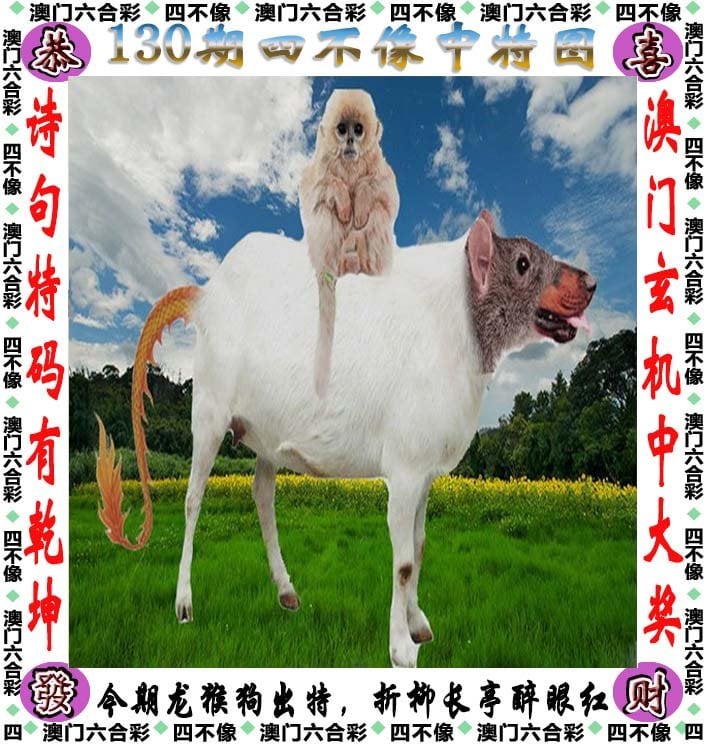 二四六天天好彩免费资枓大全