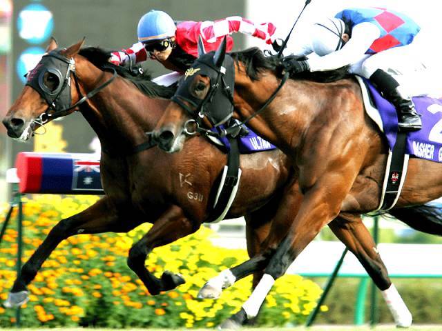 香港赛马会免费资枓网香港赛马会免费资源网，探索无限可能