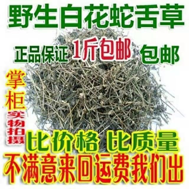 草草影视新发地布地2021草草最新发布，WY68地扯-第1张图片