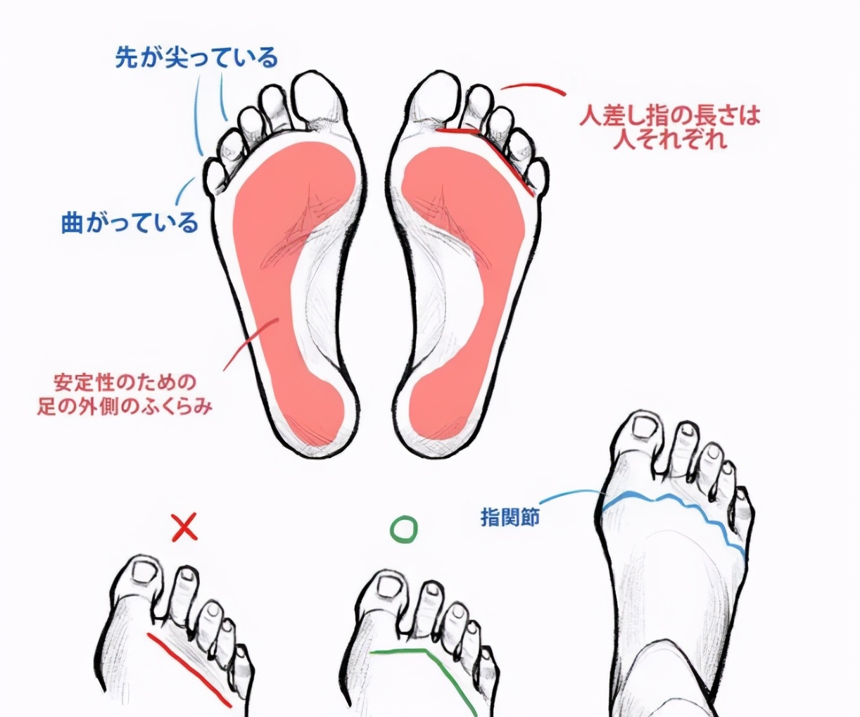 自W到高C的50种图片教程