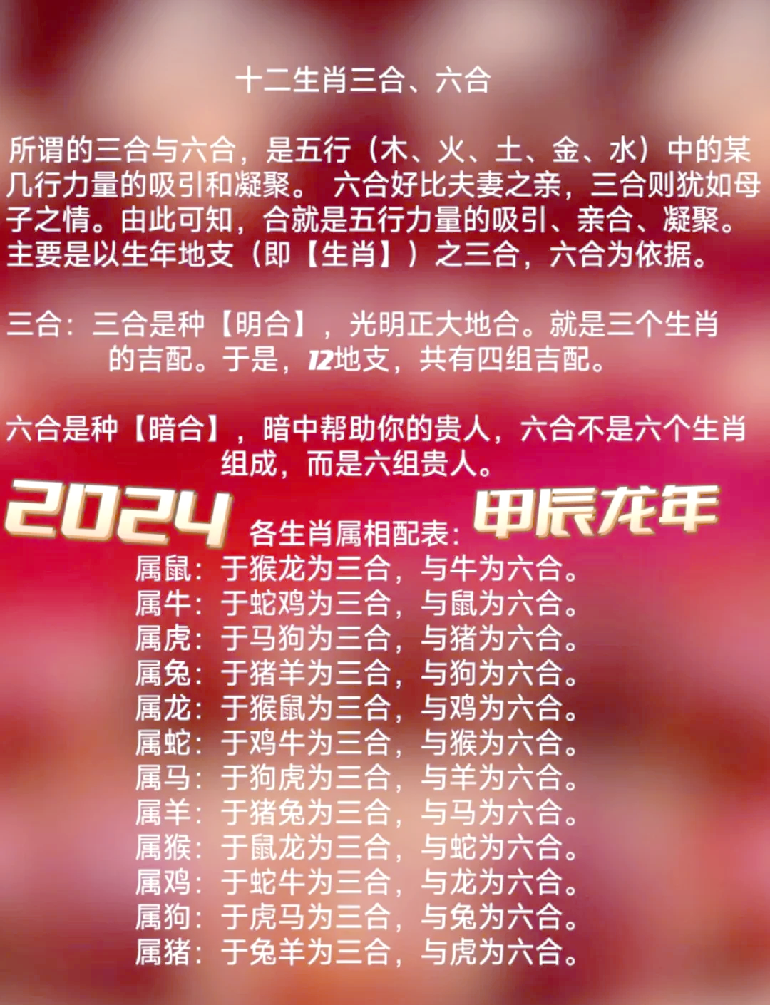 2023新版生肖卡1-49数字2023新版生肖卡，开启新一年的生肖之旅