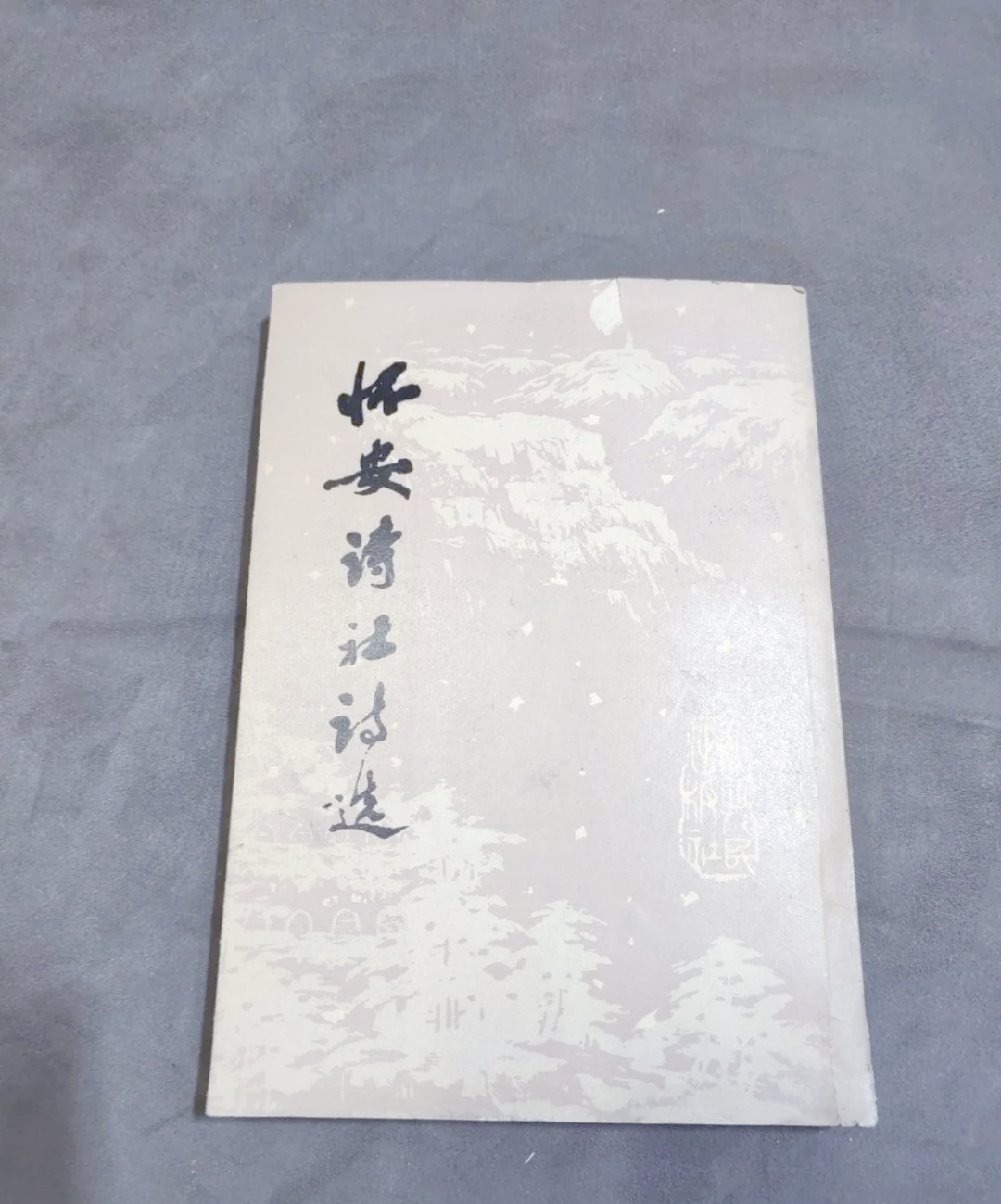 有没有色的小说，探索文学的边界-第1张图片