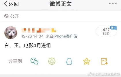 白姐公开一码二码三码白姐公开一码，揭秘网络社交新势力