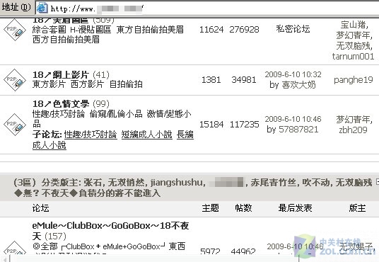 网黄网黄，网络世界的黄金时代