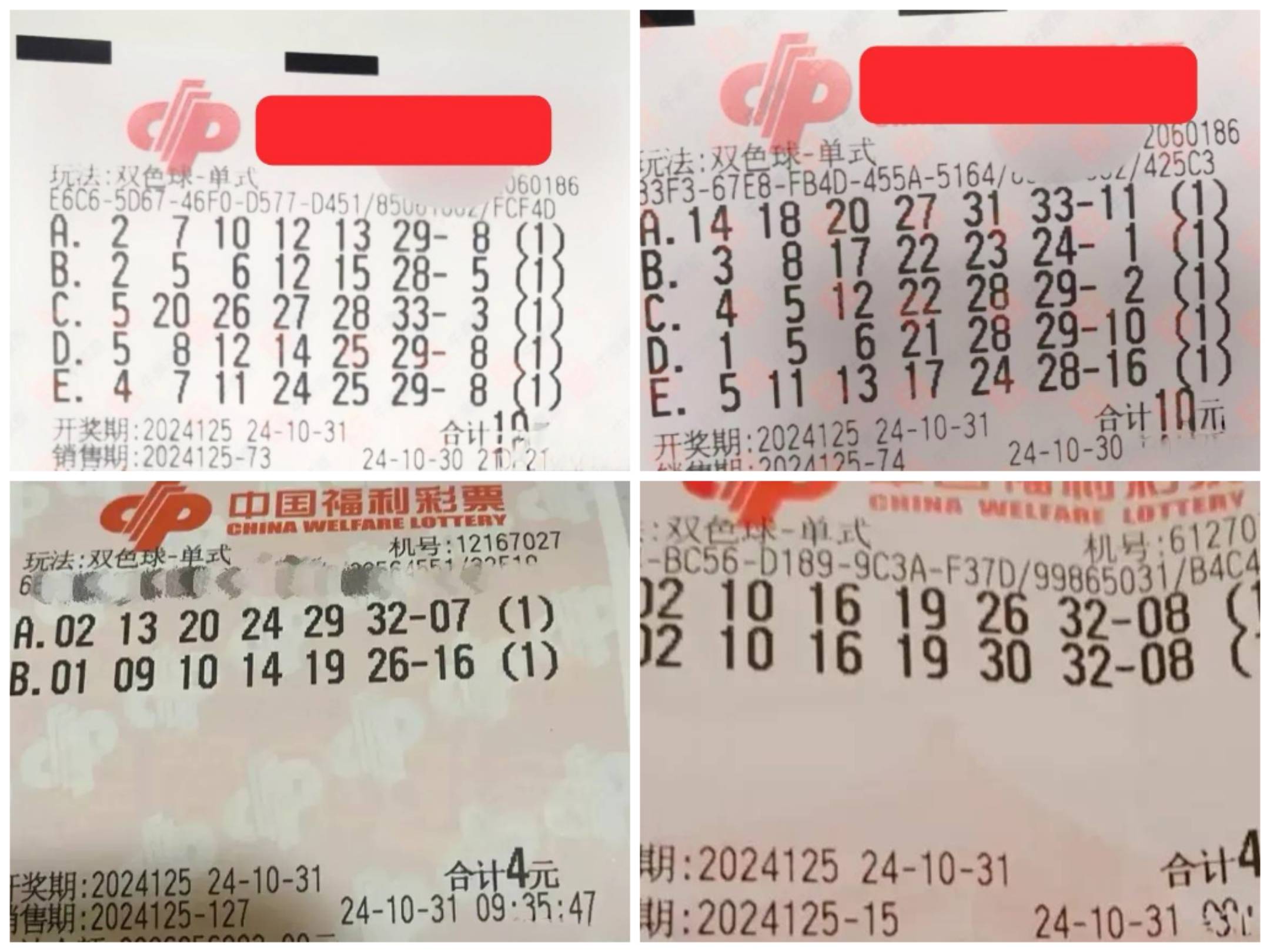 双色球100期，彩票奇迹的探索