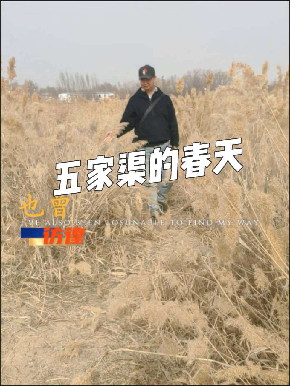 五家渠旅游五家渠旅游攻略-第1张图片