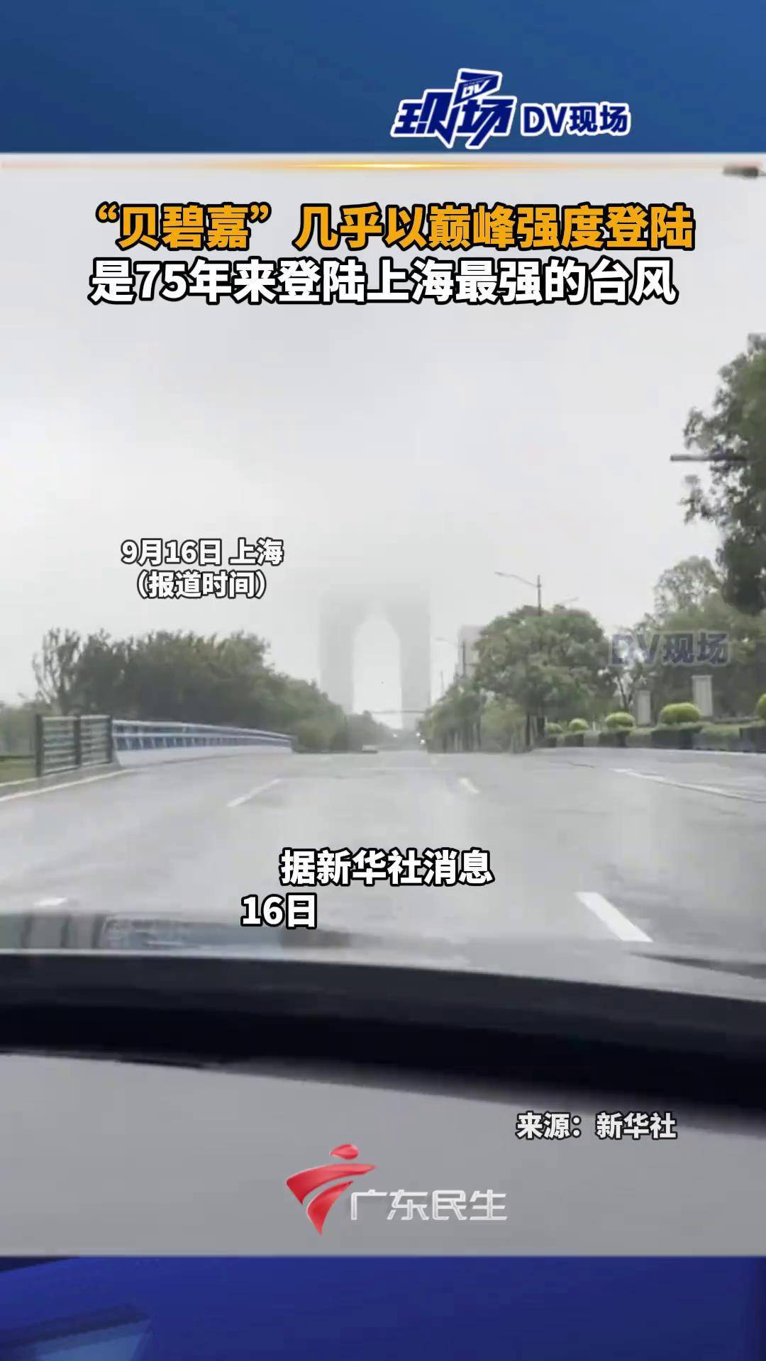上海台风2024贝碧嘉上海遭遇台风，风雨中的城市之旅