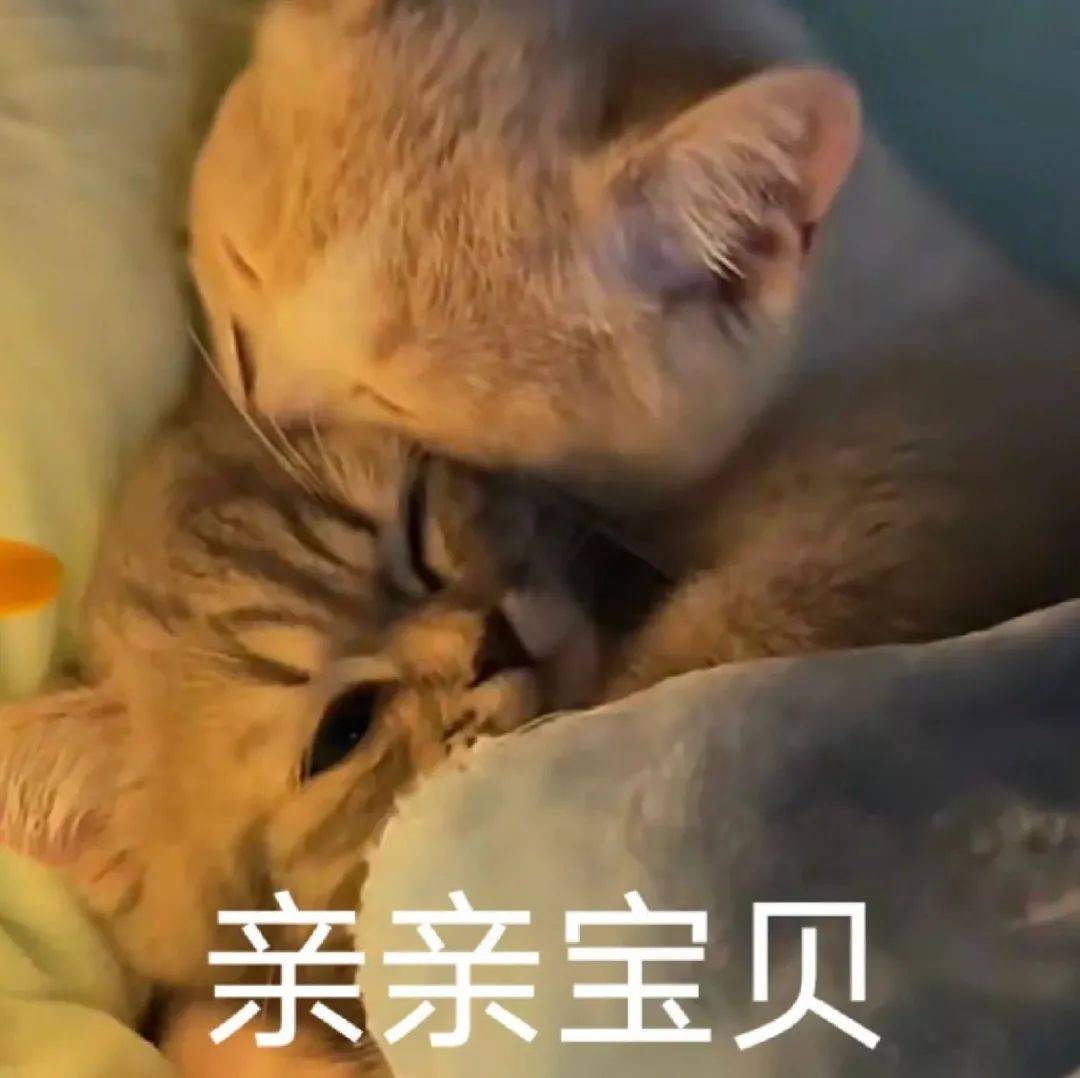 情侣剧烈做运动的表情包会动情侣剧烈做运动的表情包-第1张图片
